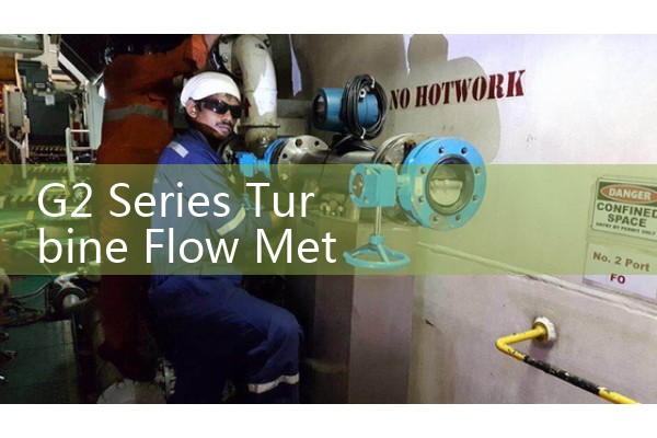 Mettler flowmeter